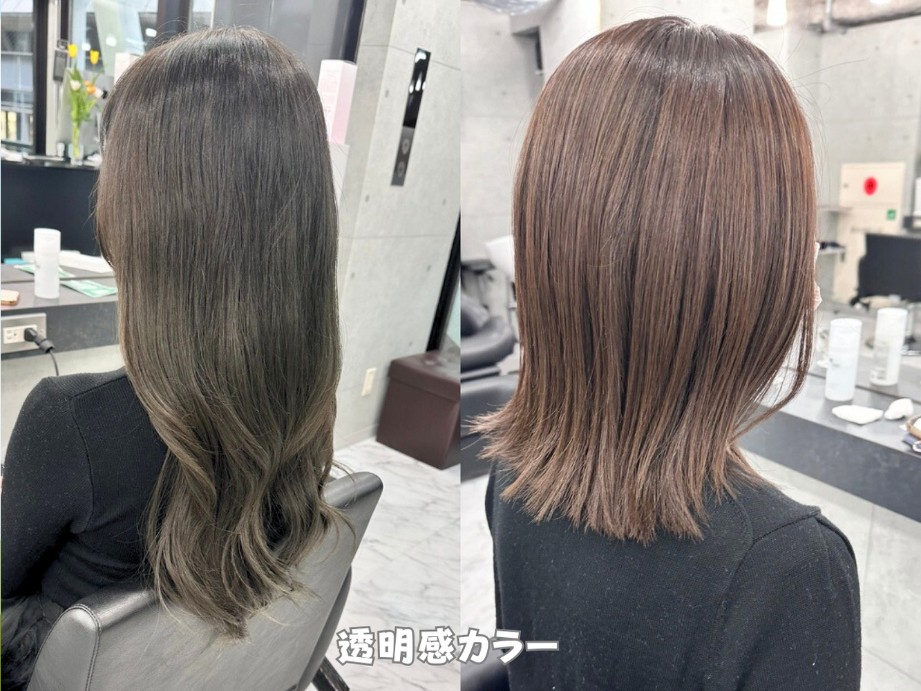 画像6978